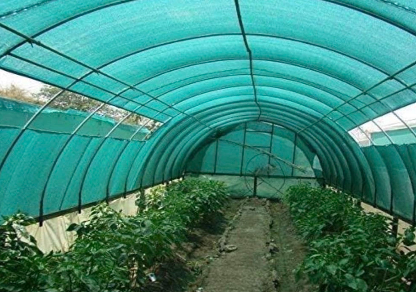 Gardening Shade net 50% Shade Meters Role Full Green Thick and UV Treated Long Life for Agriculture Gardening Building Construction and Safety Net. (3X50MTR)